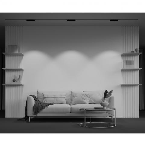 Трековый светильник Maytoni Points Radity 4000K TR082-1-12W4K-M-B