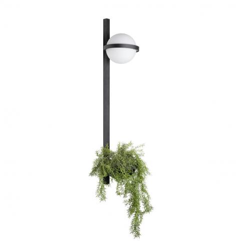 Бра Loft IT Jardin 10121W/B