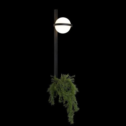 Бра Loft IT Jardin 10121W/B