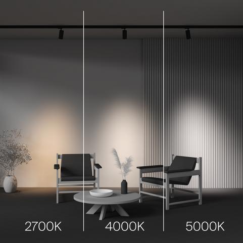 Трековый светильник Maytoni Technical Trinity  2700-5000K Focus Led TR197-3-20WCCT-M-B