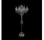 Bohemia Ivele Crystal Торшер Bohemia 1415T2/8/200-160 G