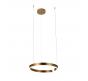 Подвесной светильник Loft IT Ring 10013M