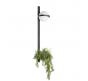 Бра Loft IT Jardin 10121W/B