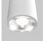 Уличный потолочный светильник Maytoni Spin O310CL-L12W3K